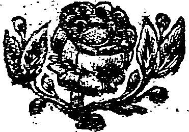 061/061300080000990_0.png