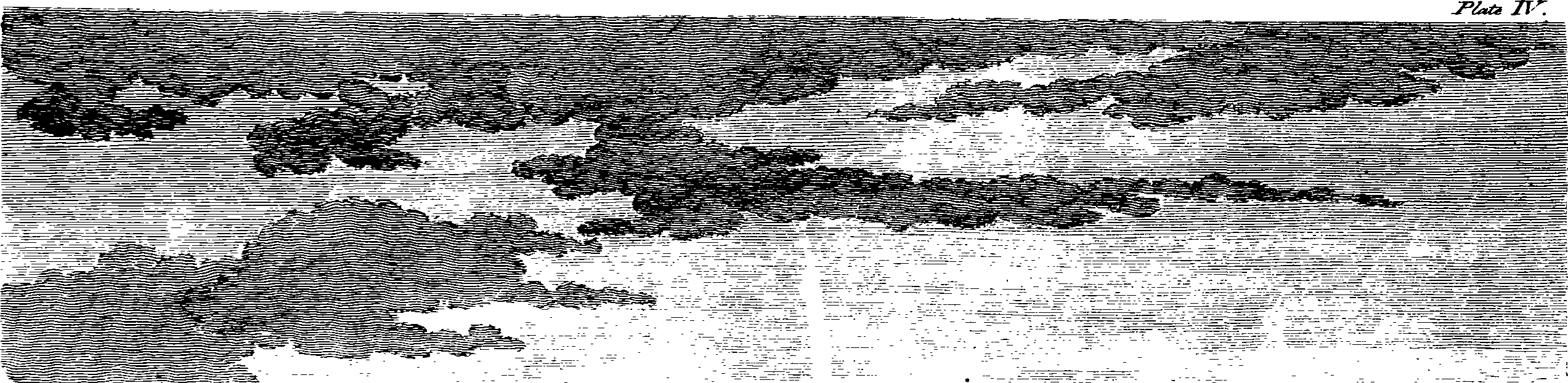 061/061320020000490_1.png