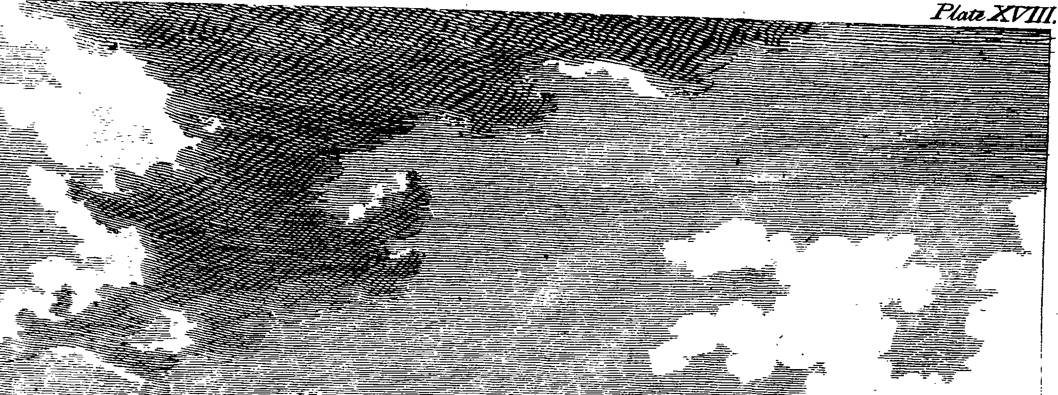 061/061320020001390_0.png