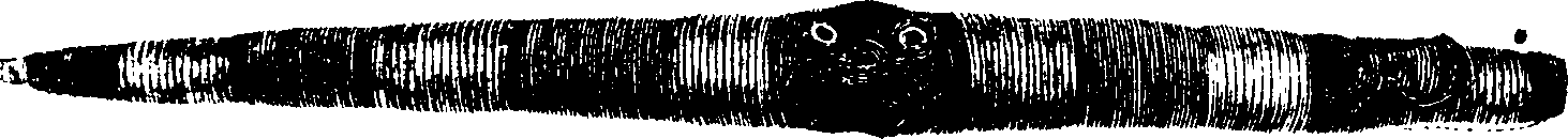 061/061320020001830_0.png