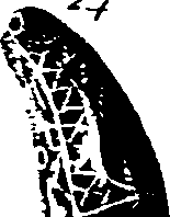 061/061320020001830_1.png