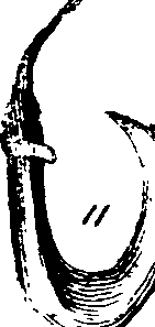 061/061320020001830_2.png