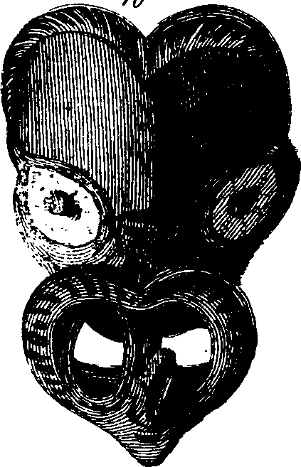 061/061320020001830_3.png