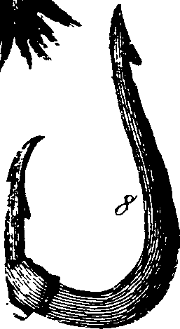 061/061320020001830_4.png