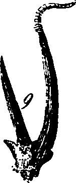 061/061320020001830_5.png