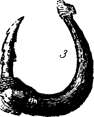 061/061320020001830_6.png