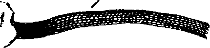 061/061320020001830_8.png