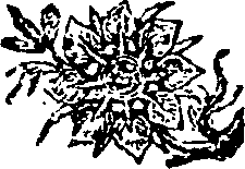 061/061390030000440_0.png