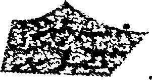 061/061460120000020_0.png