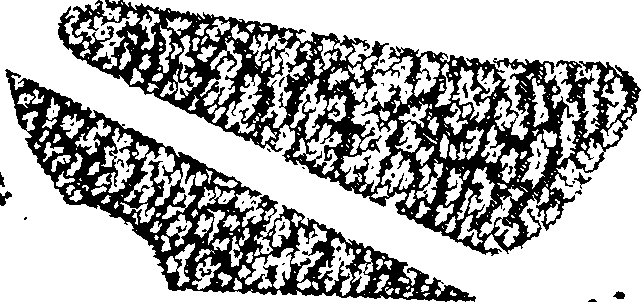 061/061460120000020_2.png