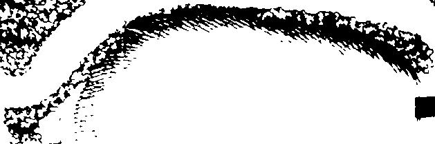061/061460120000020_3.png