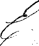 061/061470010300010_0.png