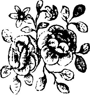 061/061500040000010_0.png