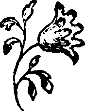 061/061500040002460_0.png