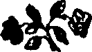 061/061520110100570_0.png