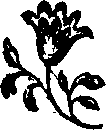 061/061520110200030_0.png