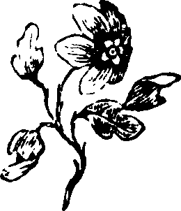 061/061530010602780_0.png