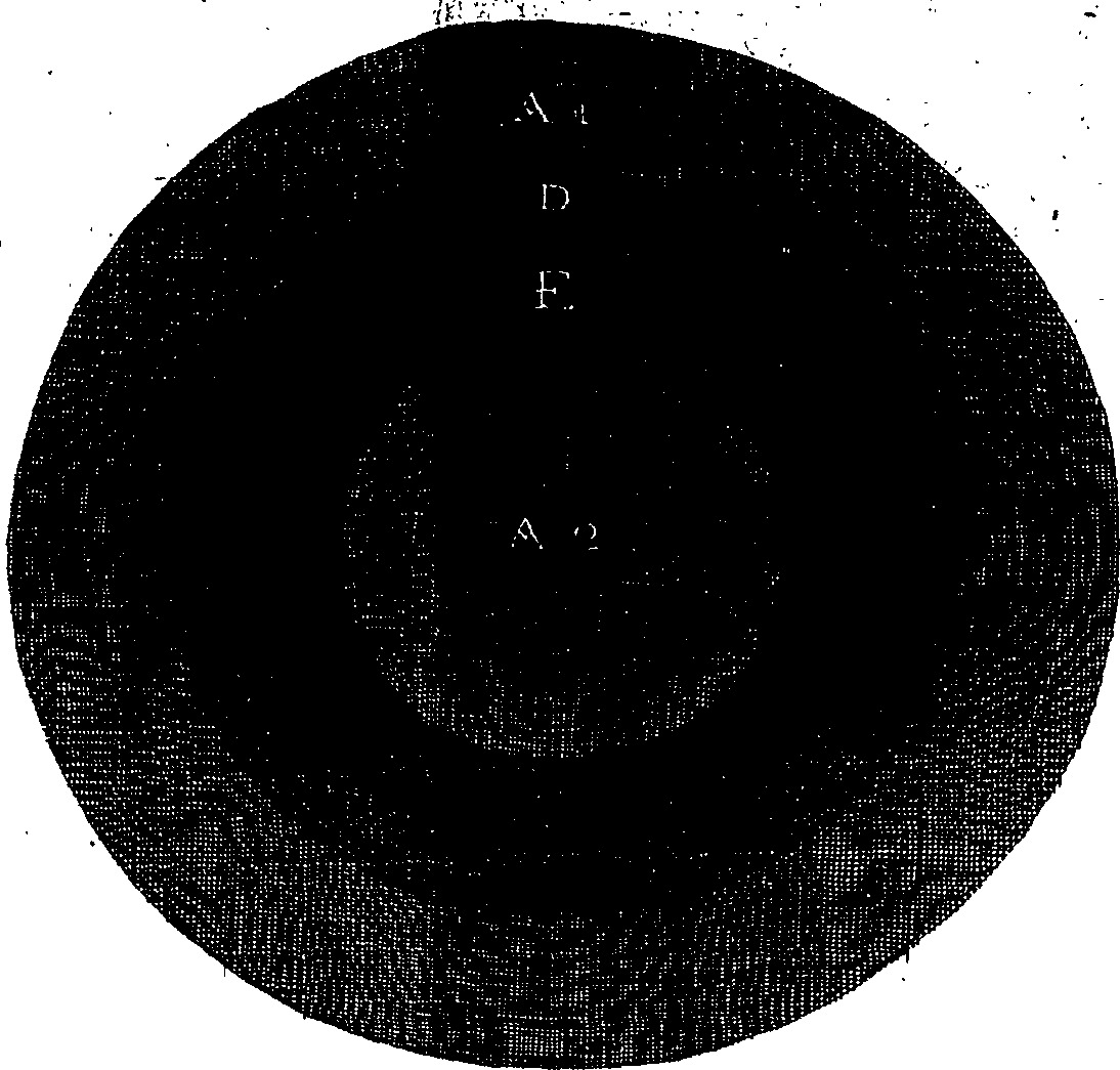 061/061650130000050_1.png