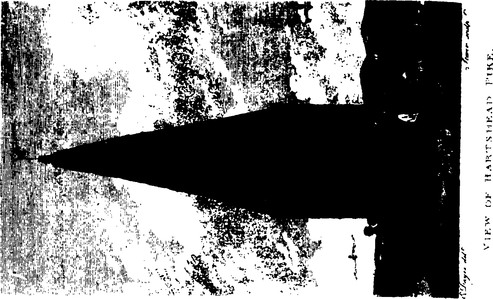 061/061730010002540_1.png