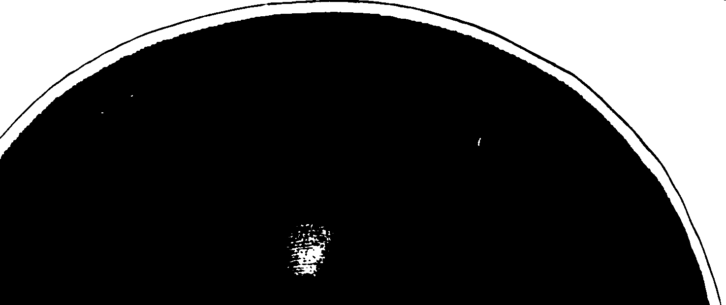 061/061730010005250_1.png