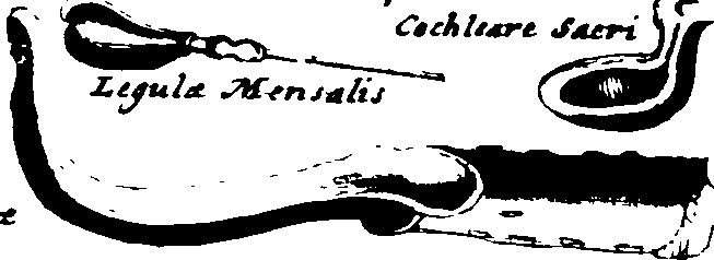 061/061740010001040_0.png