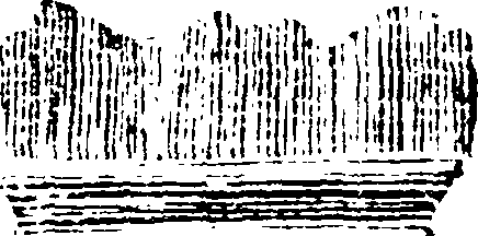 061/061740050000200_2.png