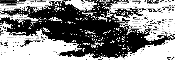 061/061790040000220_0.png