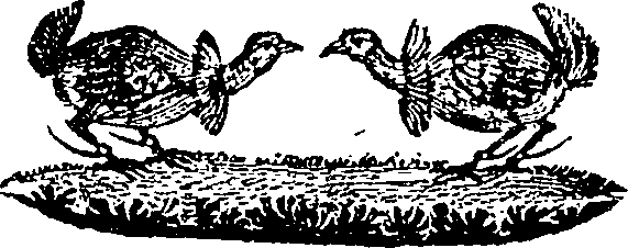 061/061870180000320_0.png