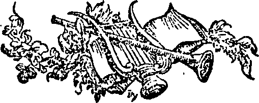 061/061880010200010_0.png