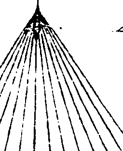 061/061900020000830_5.png