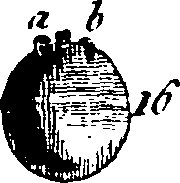 061/061900020002010_1.png