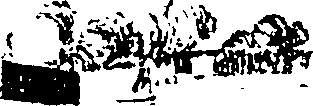 061/061900020002010_3.png