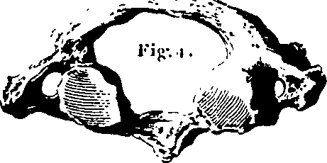 061/061920080102000_1.png