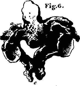 061/061920080102000_2.png