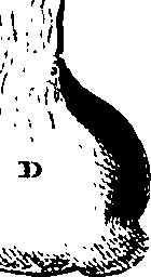 061/061920080102050_2.png