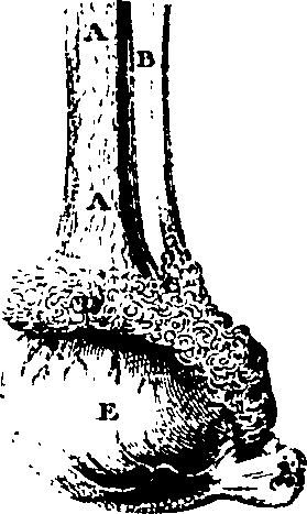 061/061920080102050_3.png