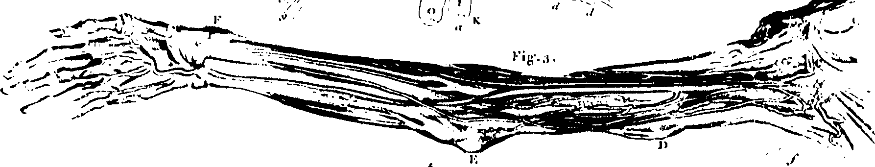 061/061920080102180_0.png