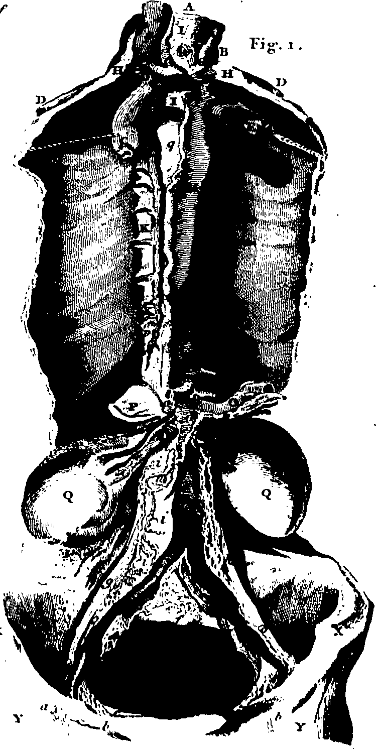 061/061920080102180_1.png