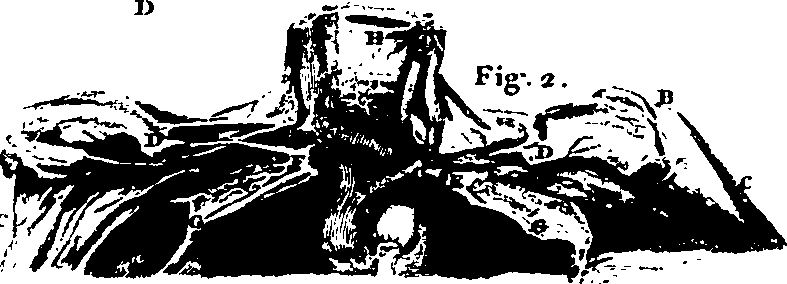 061/061920080102180_2.png