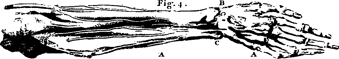 061/061920080102180_3.png