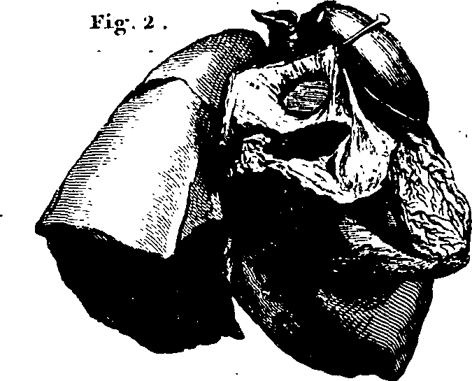 061/061920080102270_0.png