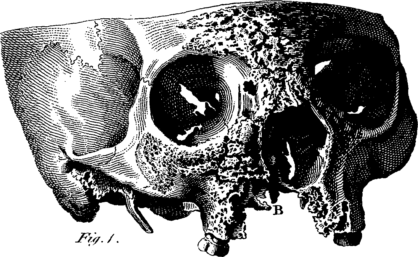 061/061920080102380_0.png