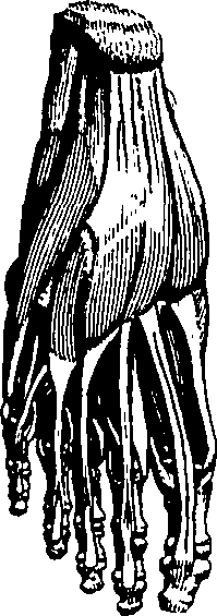 061/061920080102410_0.png