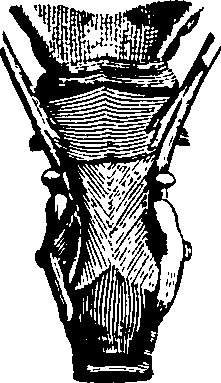 061/061920080102410_1.png