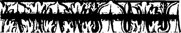 061/061920080103060_3.png