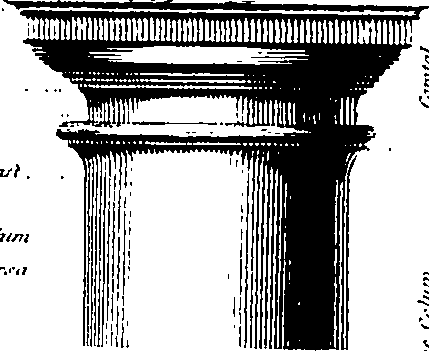061/061920080103060_8.png