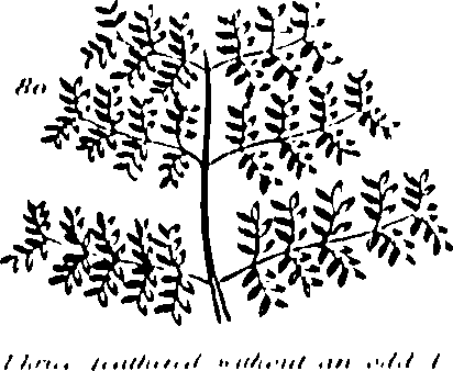 061/061920080104810_0.png