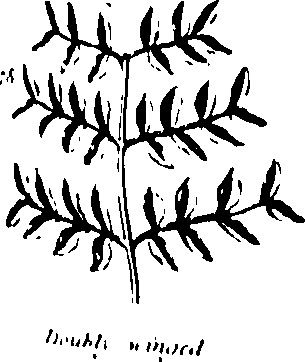061/061920080104810_1.png