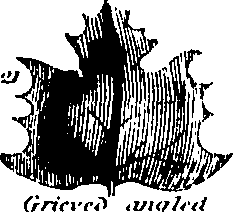 061/061920080104810_10.png