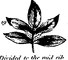 061/061920080104810_11.png